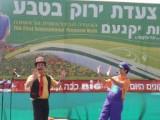 צעדה 2012 הופעות בבמה המרכזית בצעדה 2012