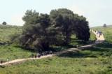 צעדה 2007