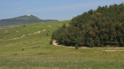 emek9.jpg