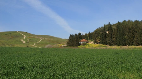 emek3.jpg