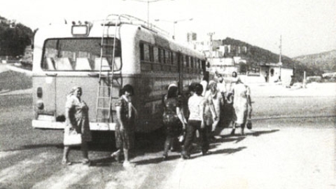 tahana.jpg