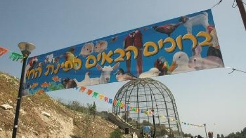 Nahal_Keret8.jpg