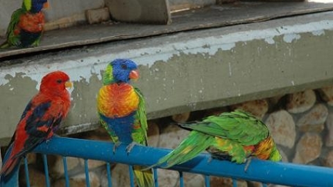 Nahal_Keret6.jpg