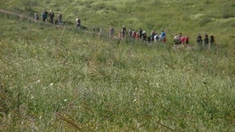 tsaada_2012_9.jpg