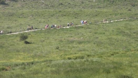 tsaada_2012_10.jpg