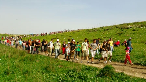 tsaada_2008_9.jpg