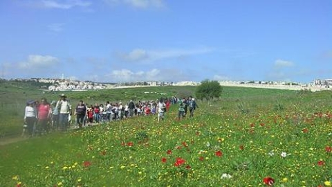 tsaada_2011_23.jpg