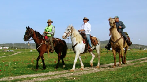 tsaada_2008_47.jpg