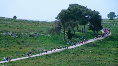 tsaada_2008_44.jpg