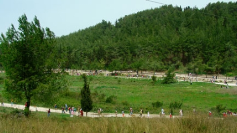 tsaada_2008_3.jpg