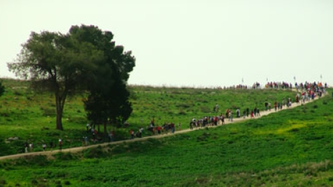 tsaada_2008_4.jpg