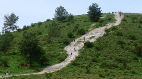 tsaada_2008_1.jpg