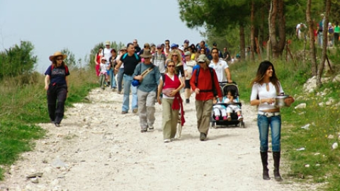 tsaada_2008_2.jpg