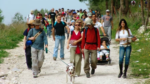 tsaada_2008_13.jpg