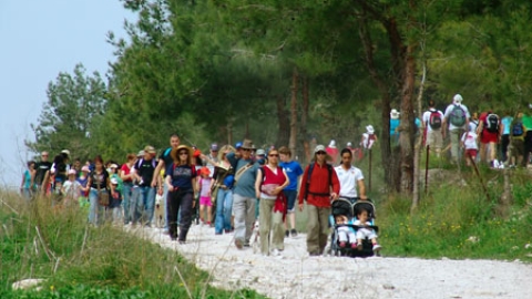tsaada_2008_18.jpg