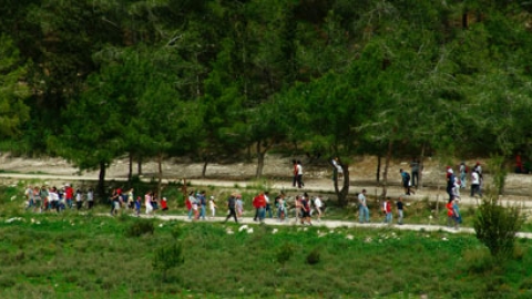 tsaada_2008_14.jpg
