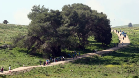 tsaada_2007_11.jpg